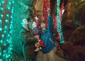 Enchanted Garden of Lights